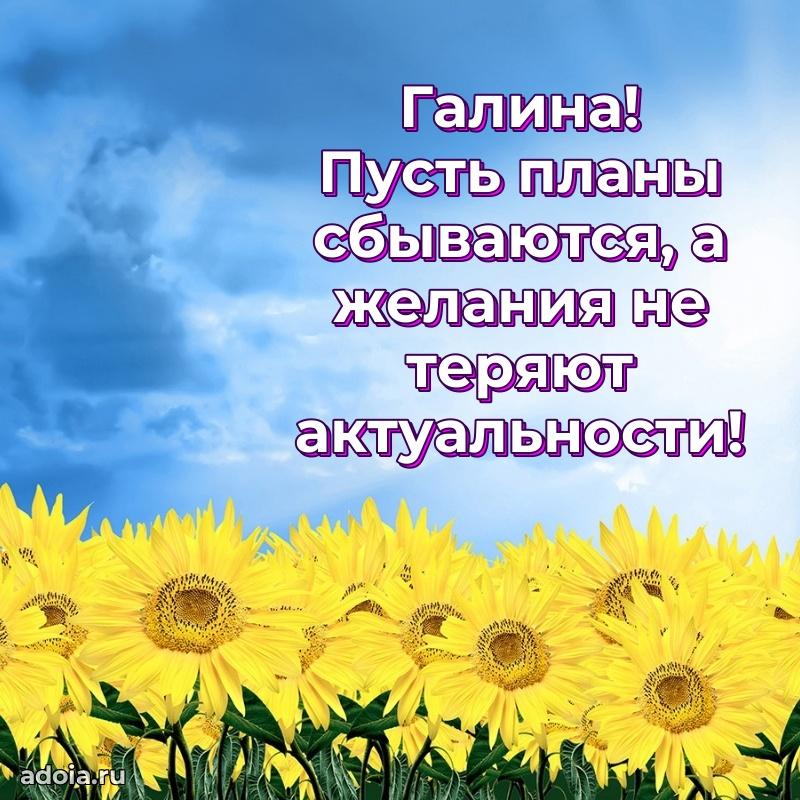 Открытка Галине праздничная