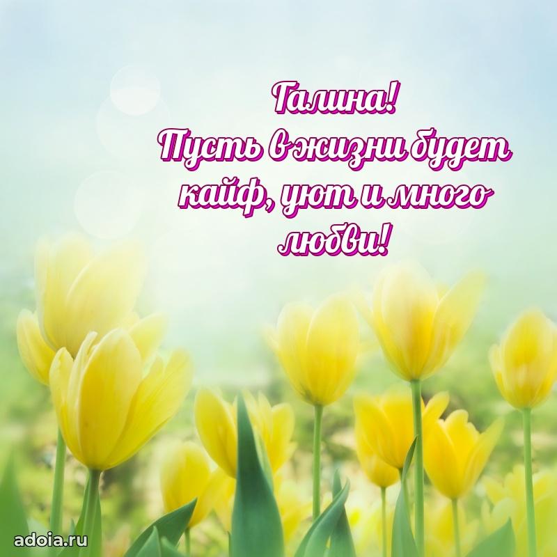 Поздравление Галине праздничные своими словами в прозе