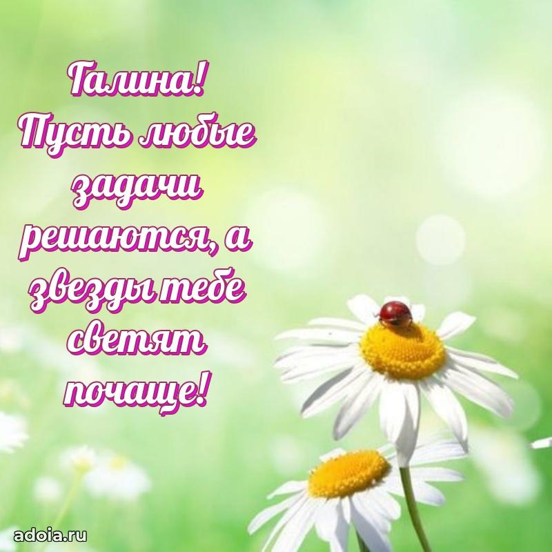 Поздравить подругу с др Галине