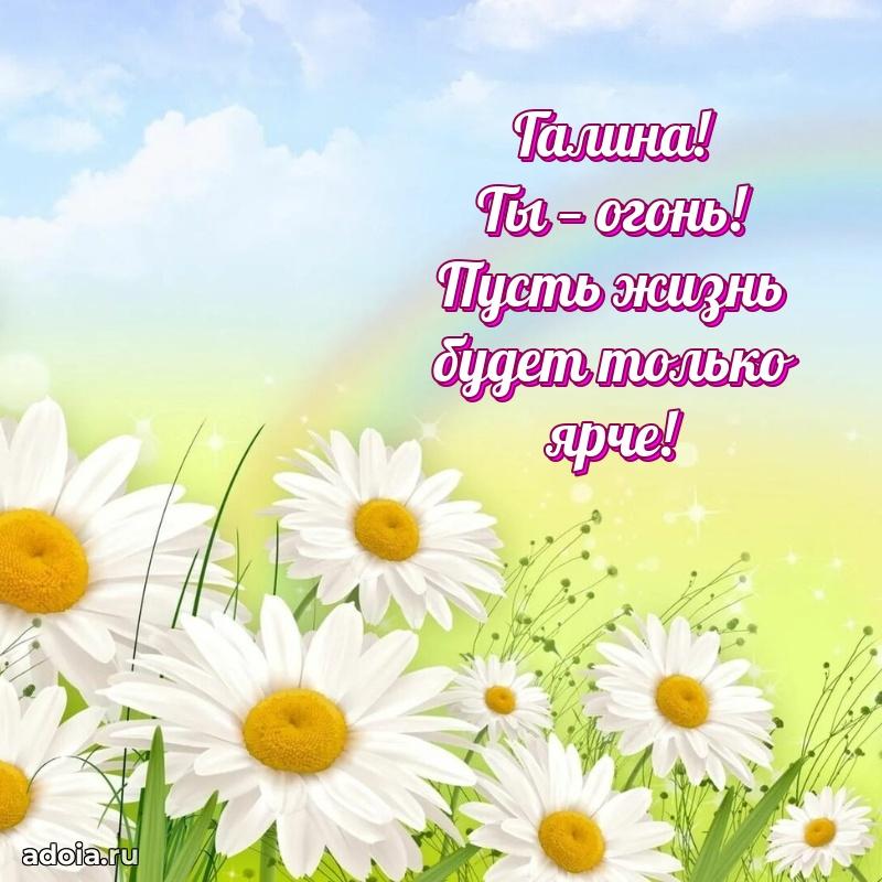 Смешная открытка для ватсап с днем рождения Галине