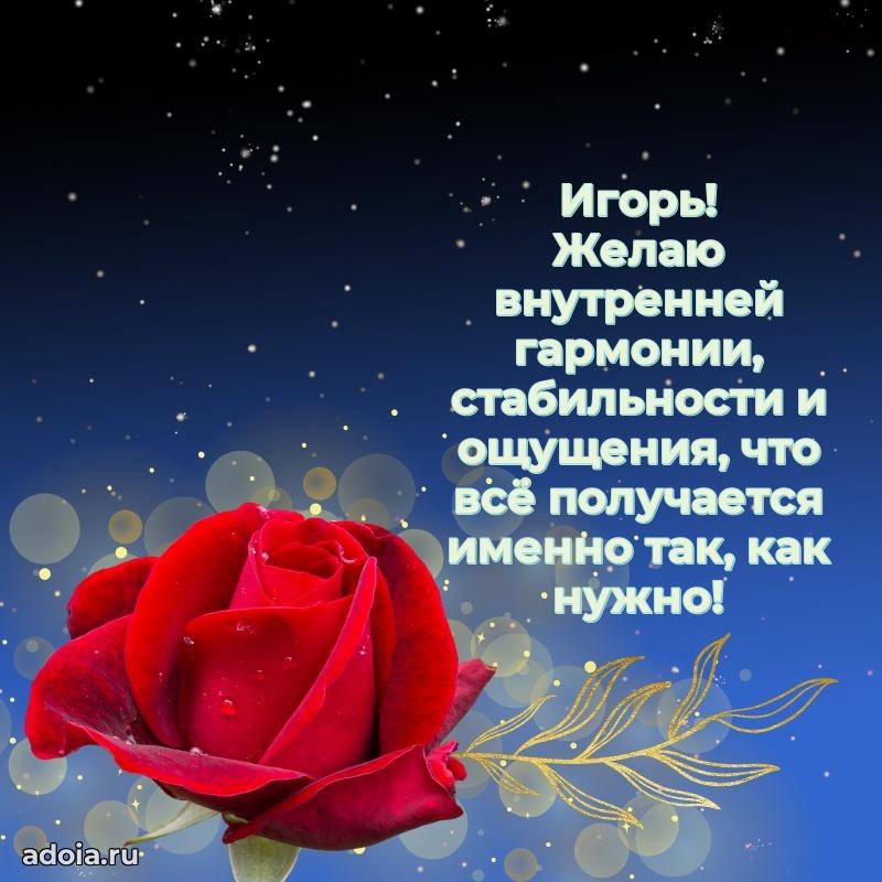 Поздравление мужчине Игорю