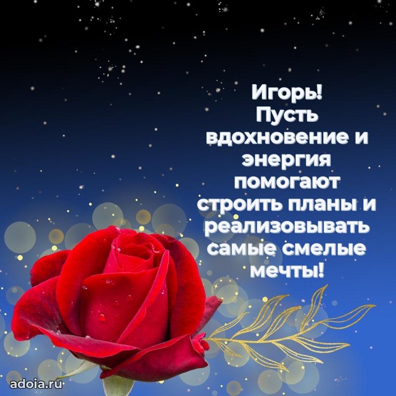 Открытка Игорю праздничная