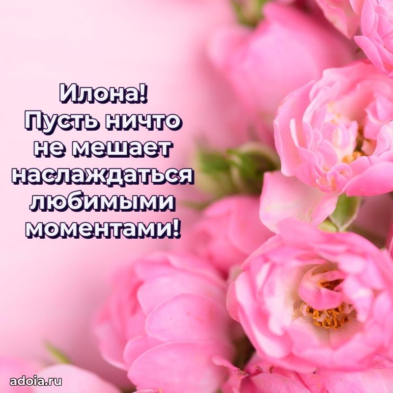 Поздравление Илоне праздничные своими словами в прозе