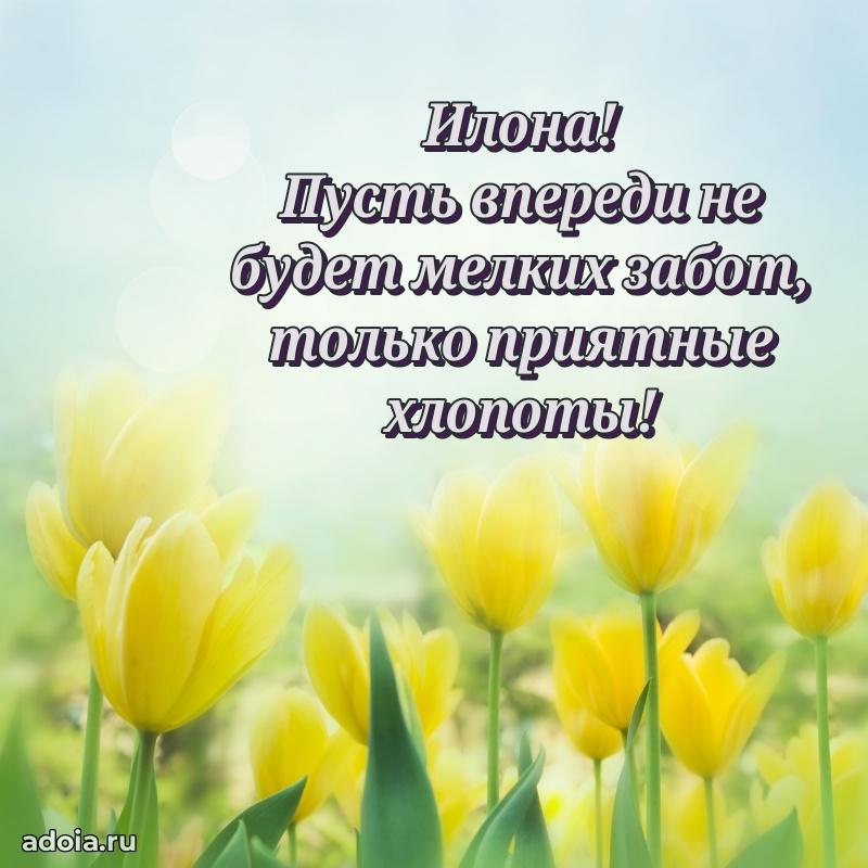 Поздравление женщине Илоне