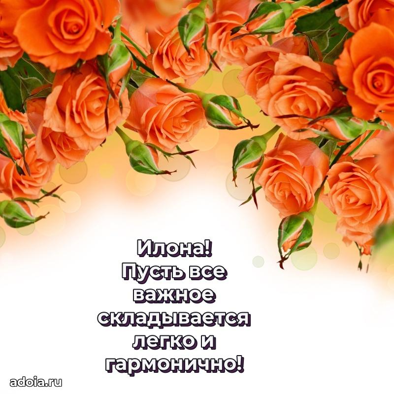 Поздравление с днем рождения сестре в стихах