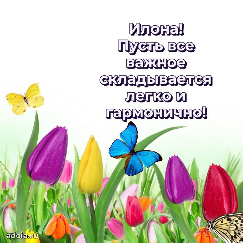 Поздравление Илоне праздничные своими словами в прозе
