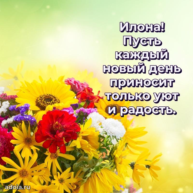 Яркая гифка Илоне с днем рождения