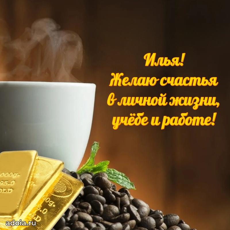 Поздравление Илье праздничные своими словами