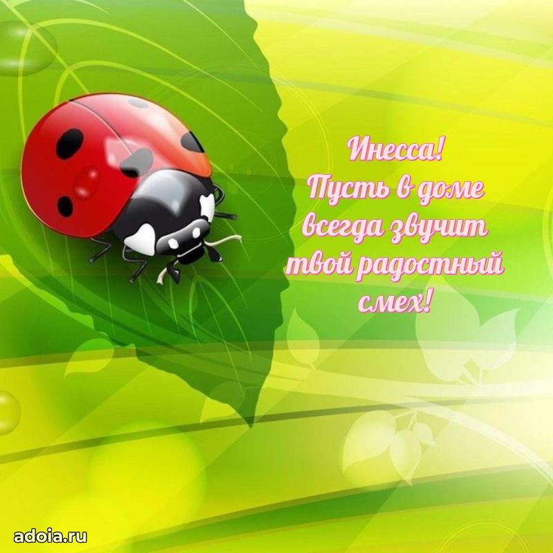 Яркая гифка Инессе с днем рождения