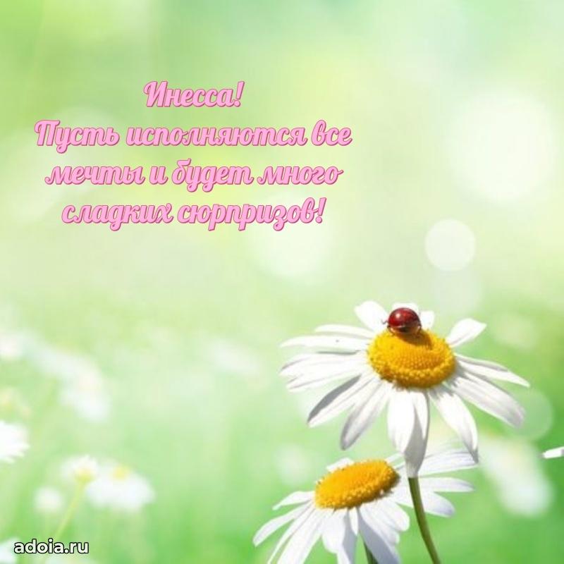 Поздравление Инессе ребенку своими словами