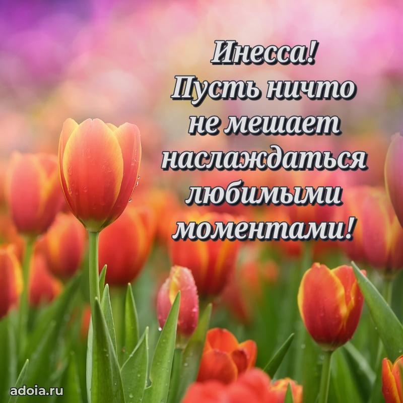 Поздравить сестру с др Инессе