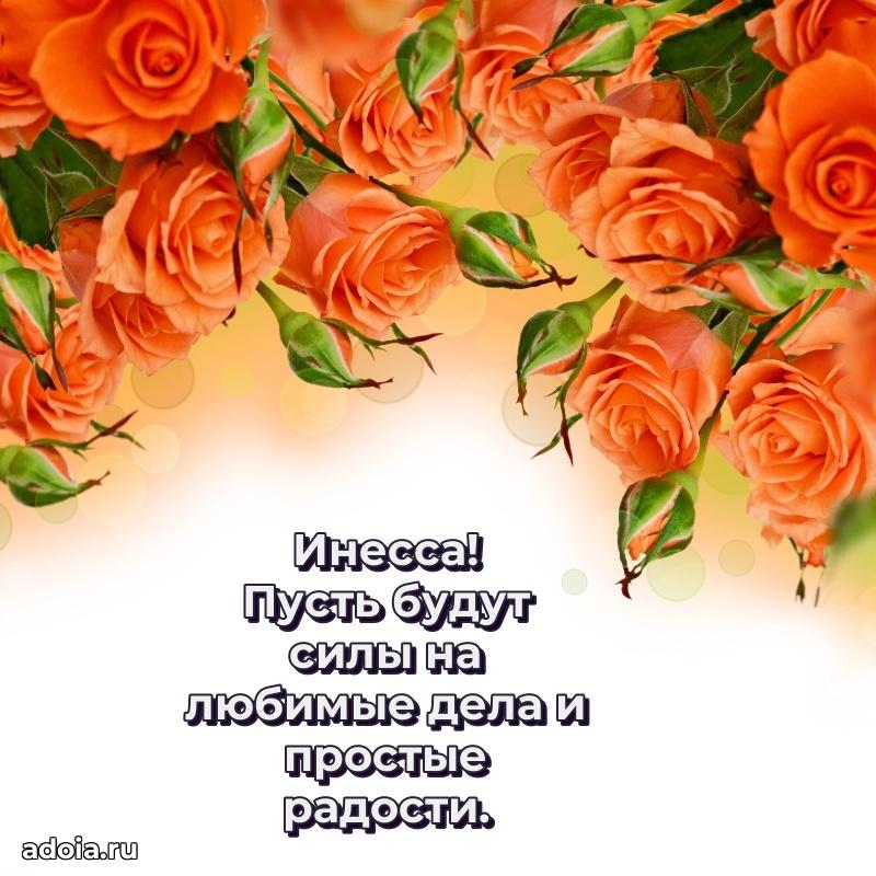 Поздравить сестру с др Инессе