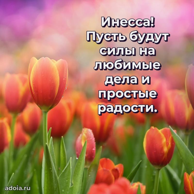 Новые открытки с днем рождения праздничные Инессе