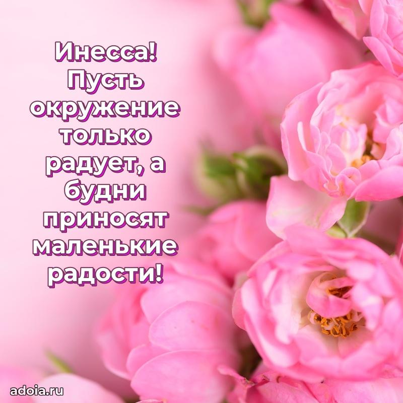 Смешная открытка для ватсап с днем рождения Инессе