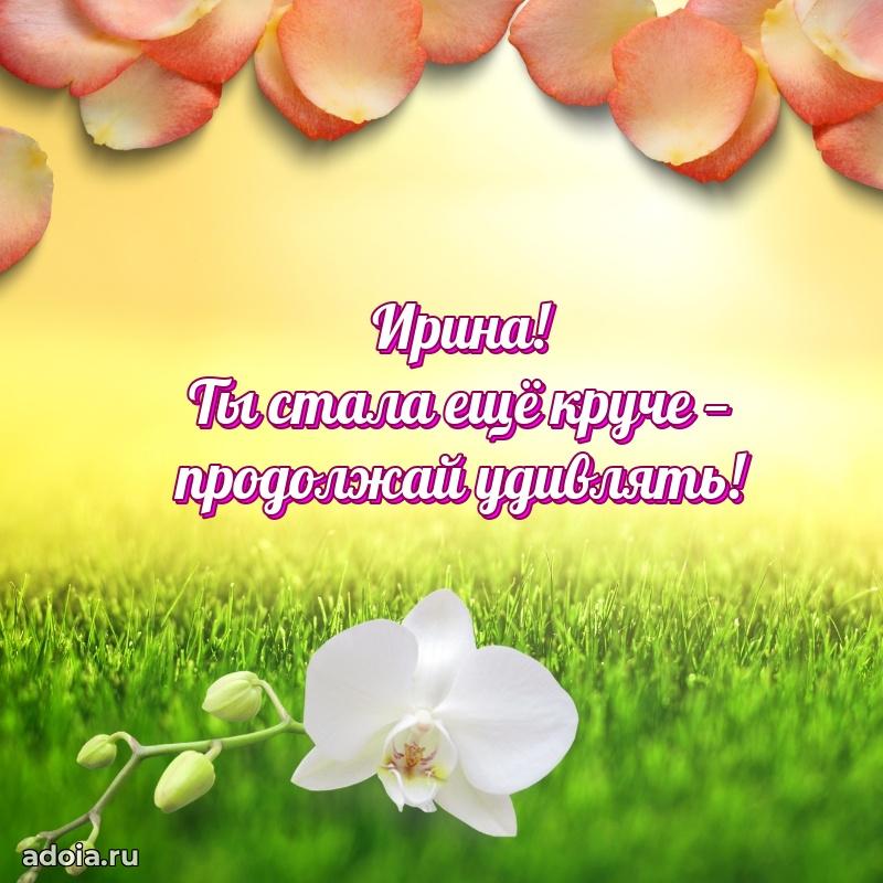 Современная открытка супруге