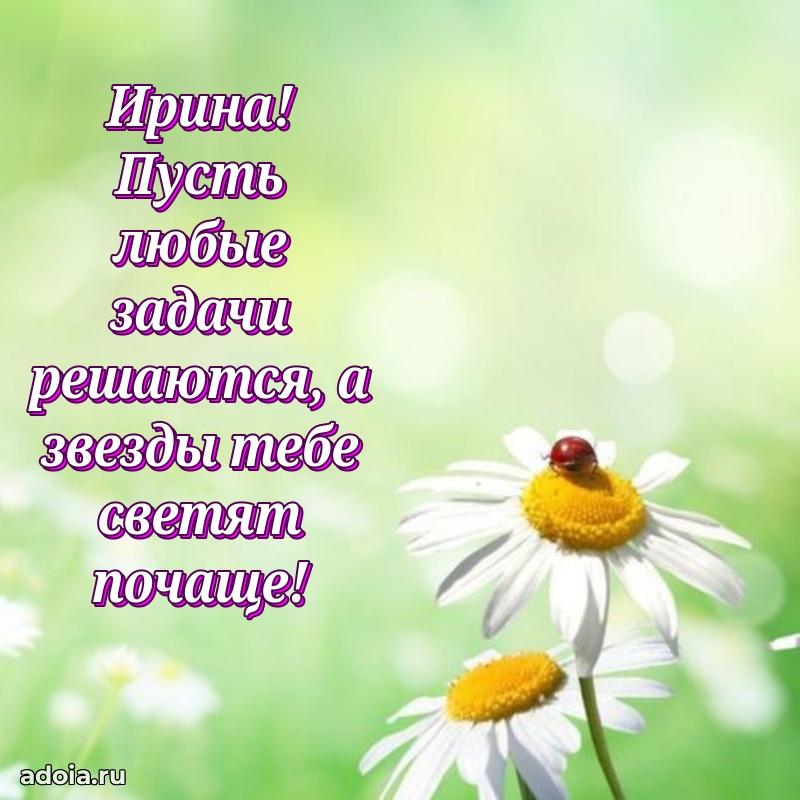 Современная открытка супруге