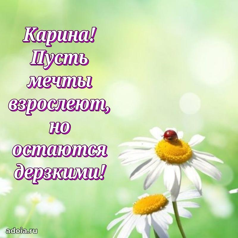 Открытка с пожеланиями Карине для ватсапа