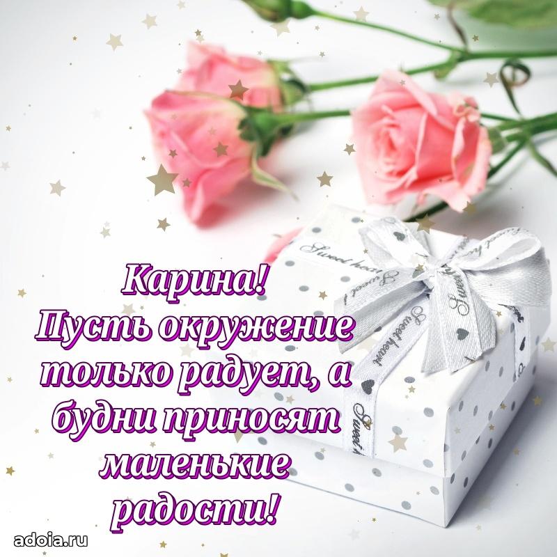 Смешная открытка для ватсап с днем рождения Карине