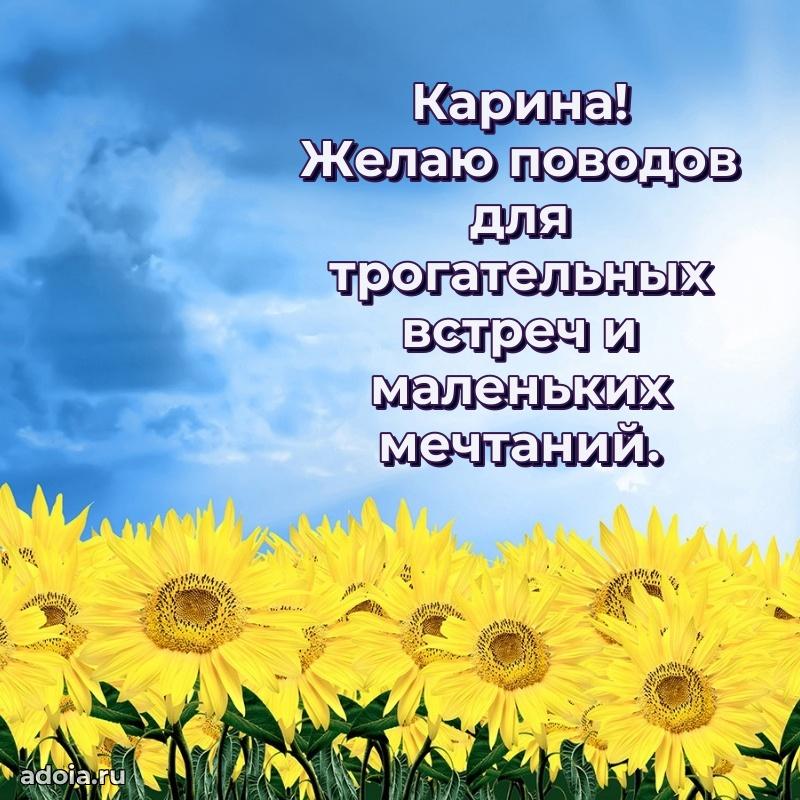 Мерцающая картинка Карине с днем рождения