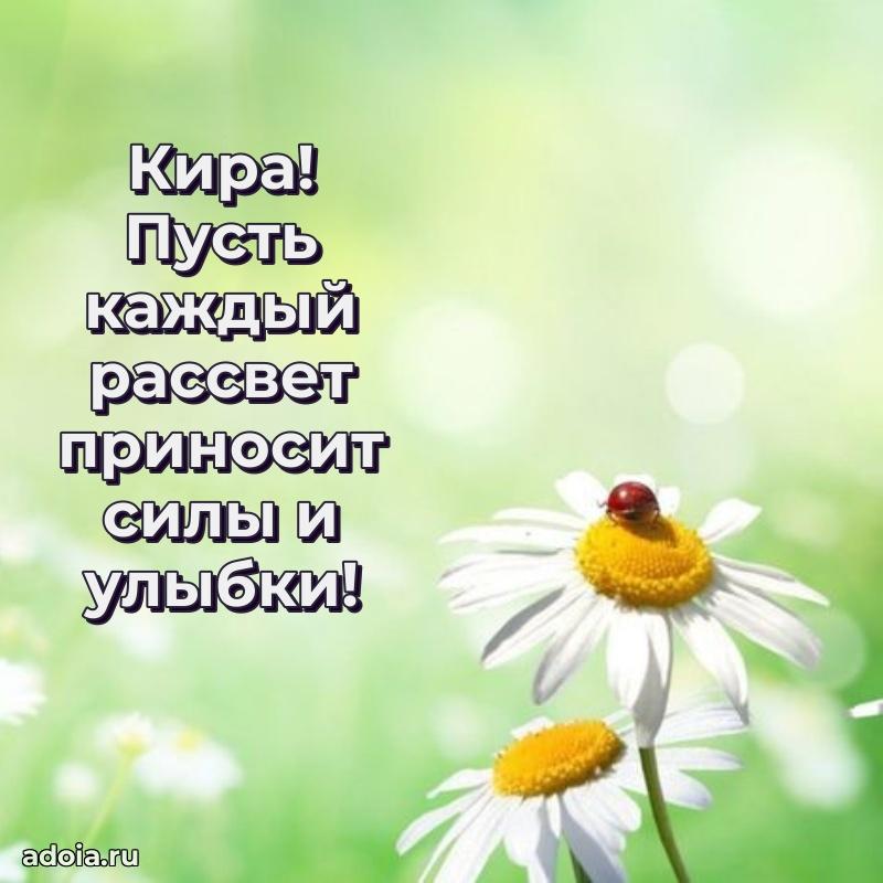 Открытка для ватсап с днем рождения Кире