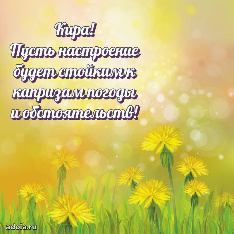 Поздравление Кире праздничные своими словами в прозе