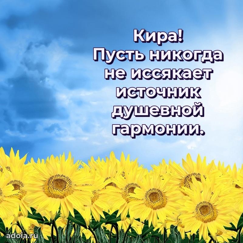 Поздравление с днем рождения женщине в стихах