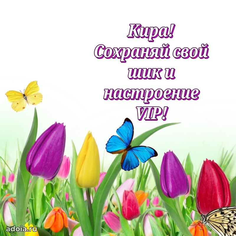 Поздравить подругу с др Кире