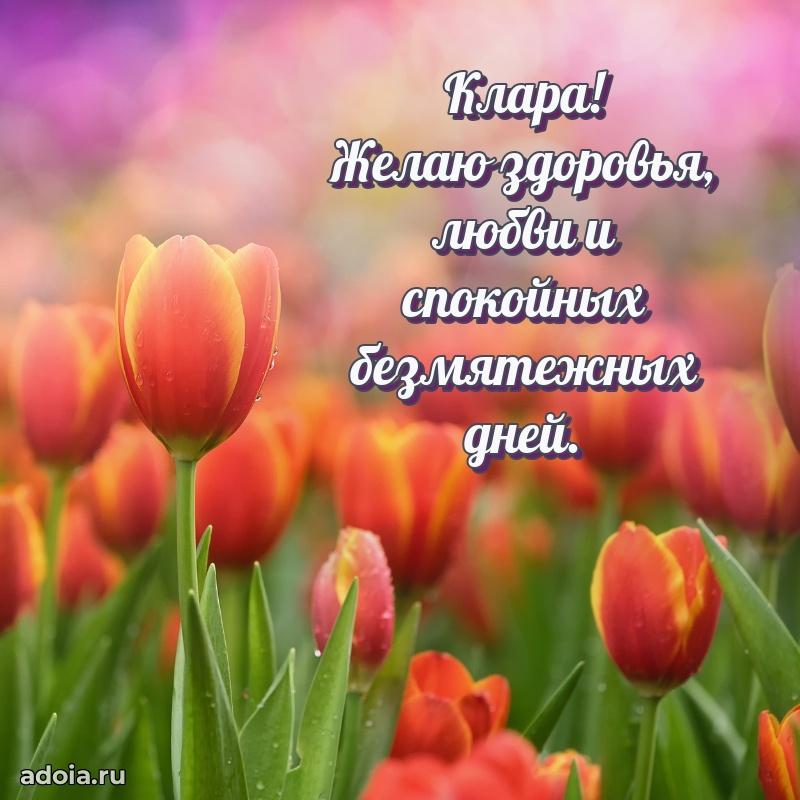 Открытка Кларе праздничная