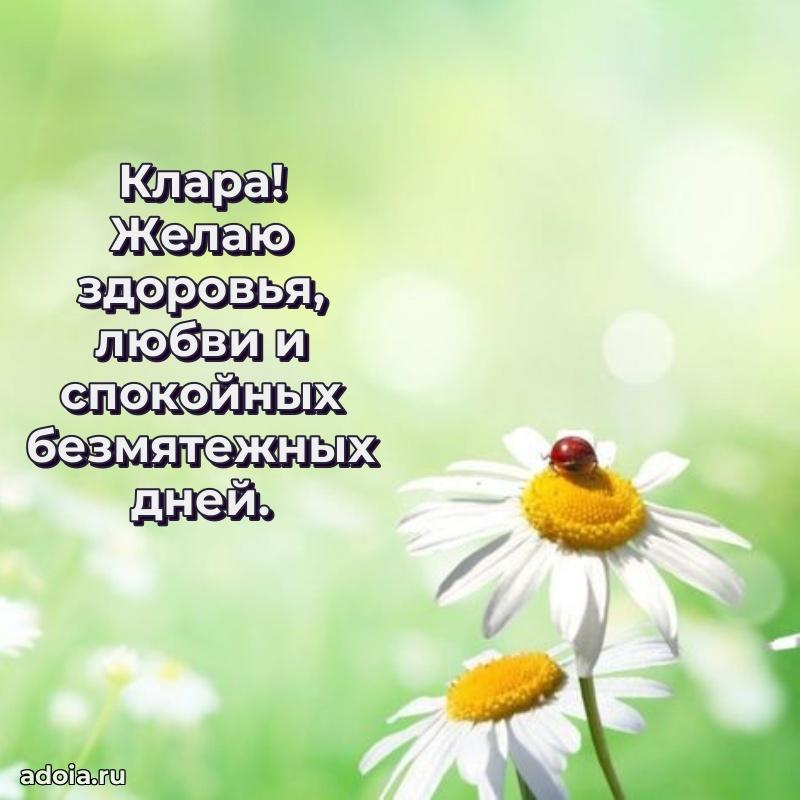Поздравление Кларе праздничные своими словами в прозе