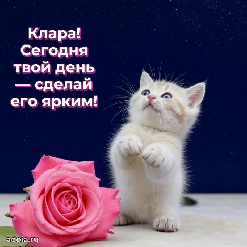 Поздравление Кларе праздничные своими словами в прозе