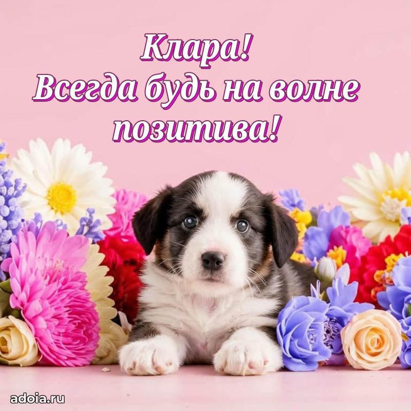 Яркая гифка Кларе с днем рождения