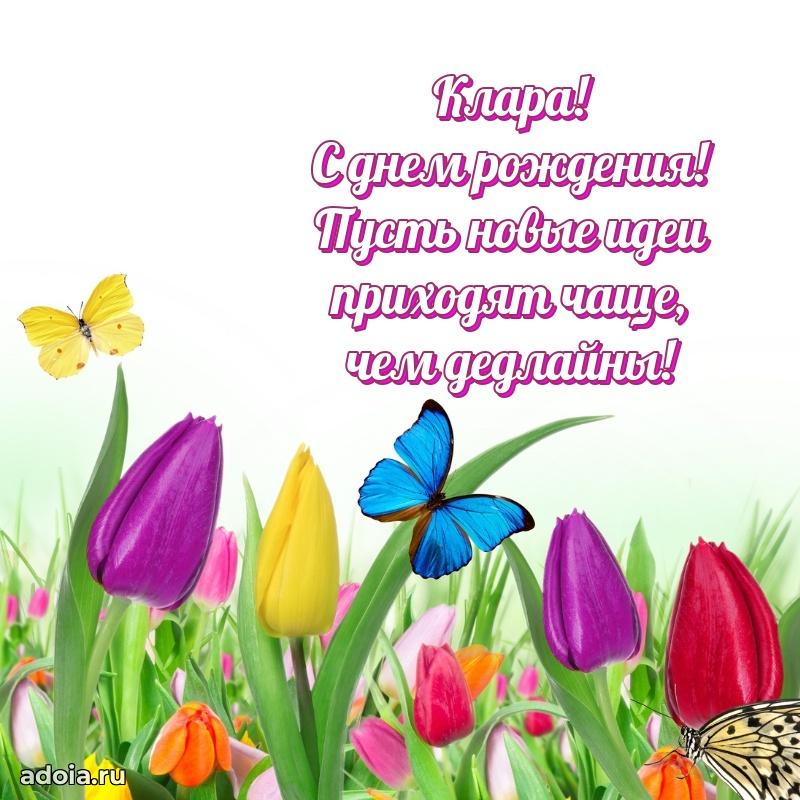 Яркая гифка Кларе с днем рождения