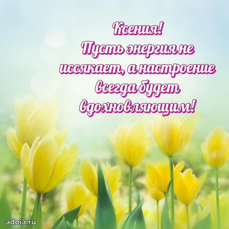 Смешная открытка для ватсап с днем рождения Ксении