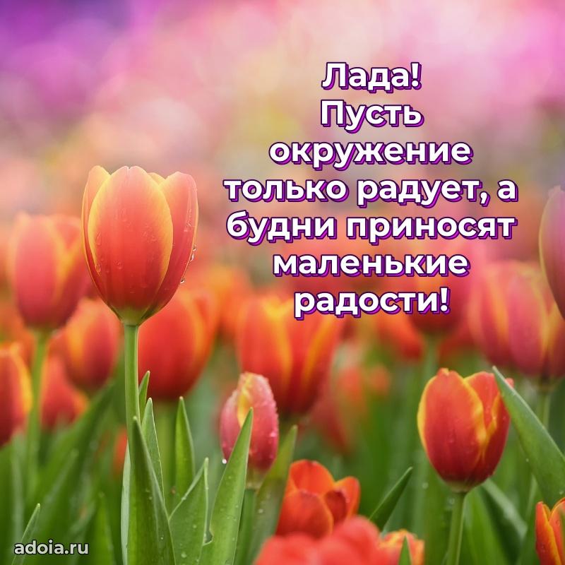 Яркая гифка Ладе с днем рождения