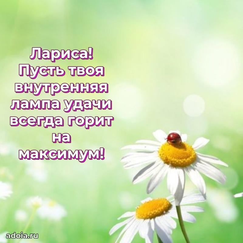 Поздравление Ларисе праздничные своими словами в прозе