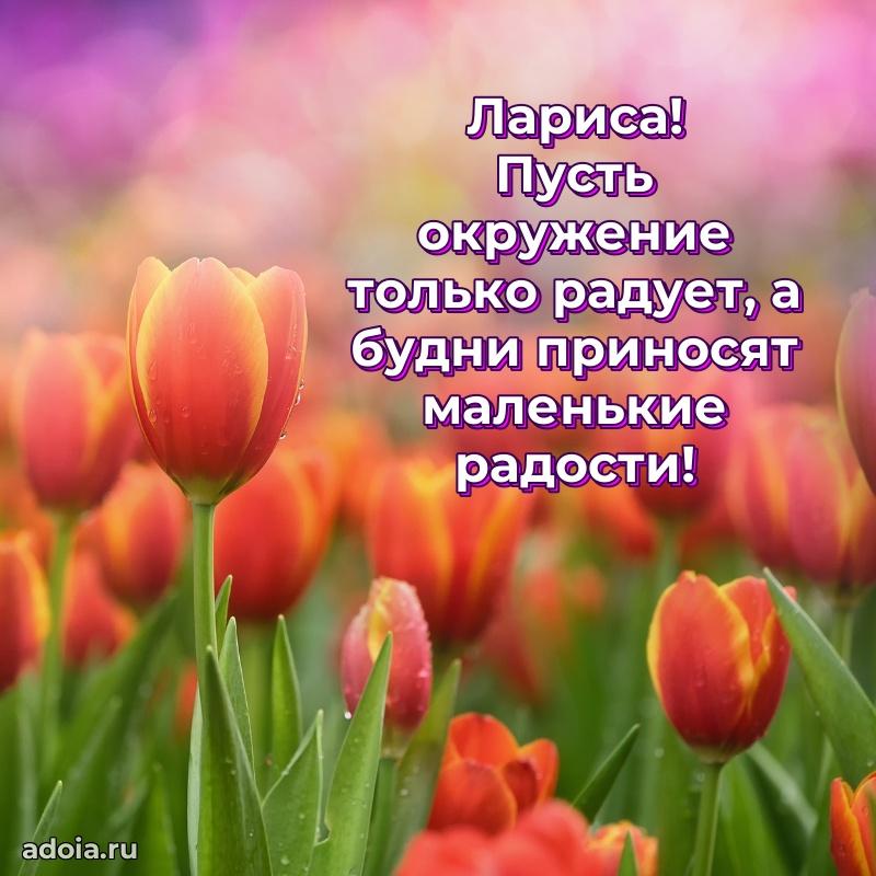 Поздравление женщине Ларисе