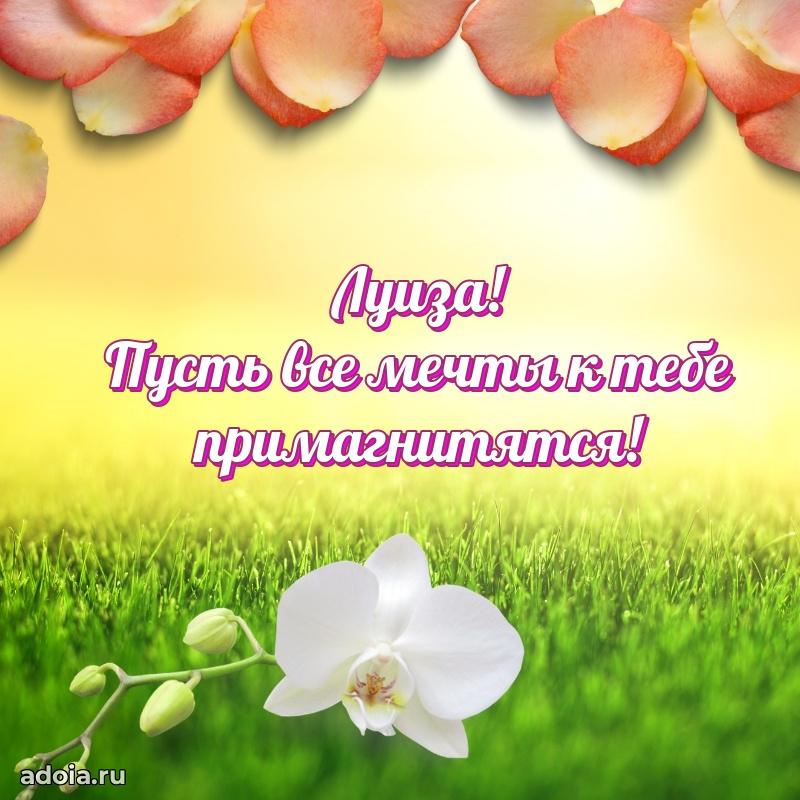 Яркая гифка Луизе с днем рождения