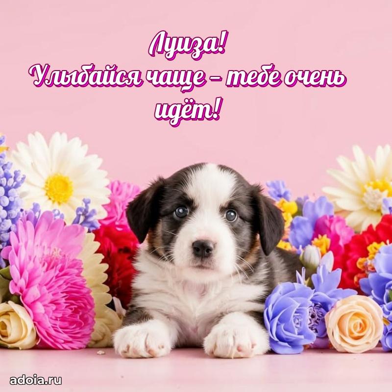 Поздравление женщине Луизе