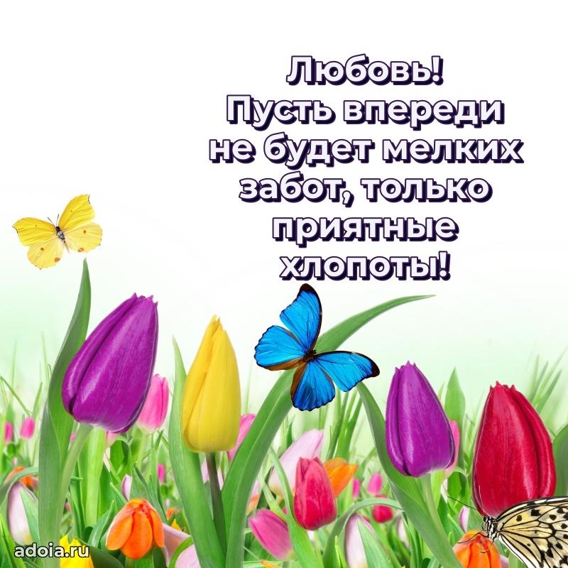 Поздравление с днем рождения женщине в стихах