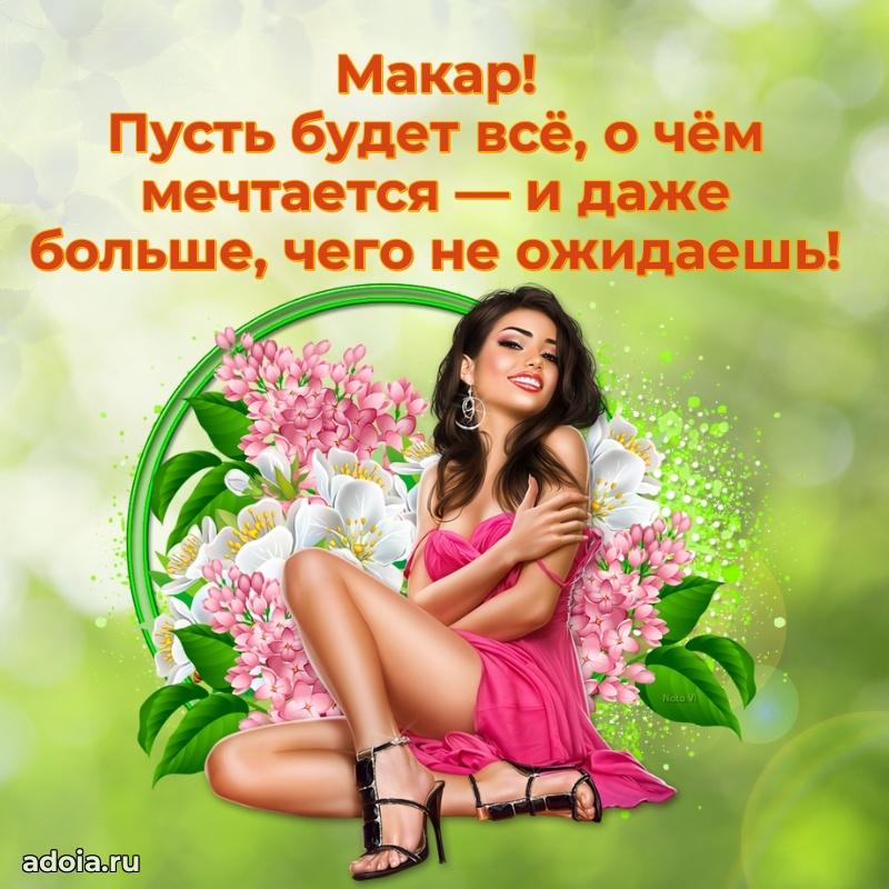 Открытка Макару праздничная