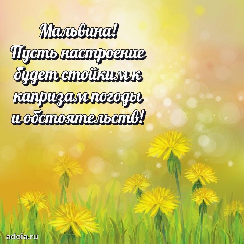 Открытка с пожеланиями Мальвине для ватсапа