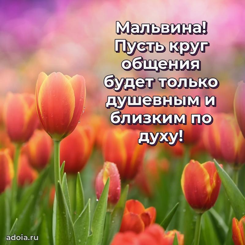 Картинка дочери Мальвине