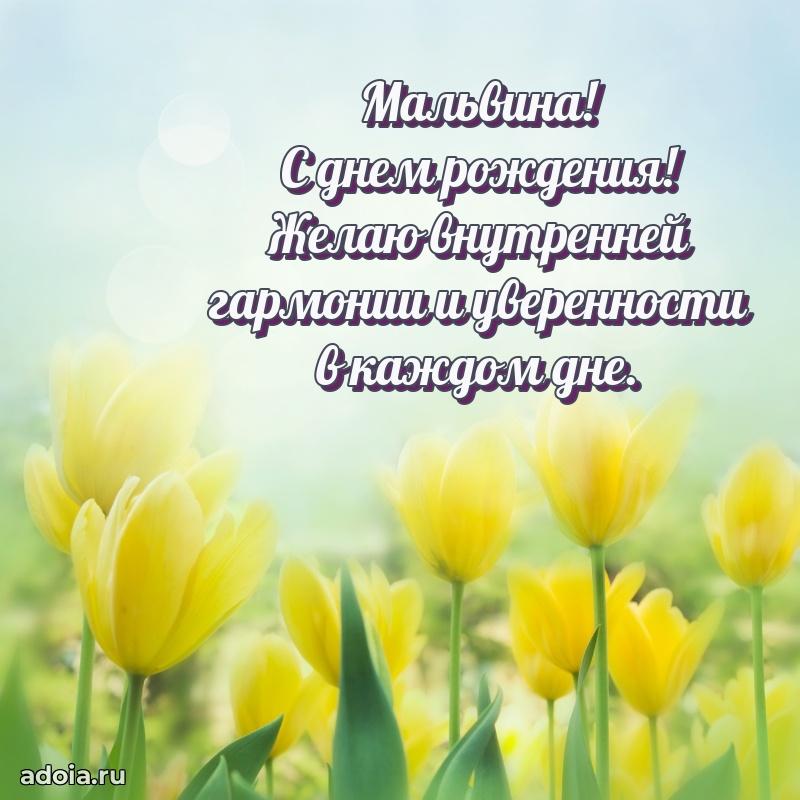 Новые открытки с днем рождения праздничные Мальвине
