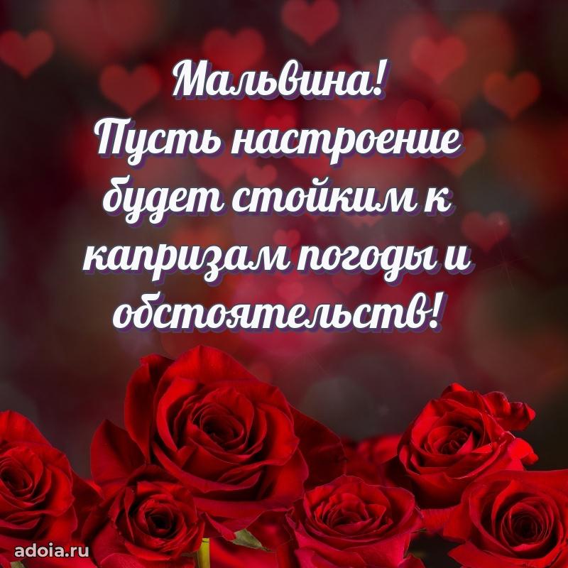 Открытка Мальвине праздничная