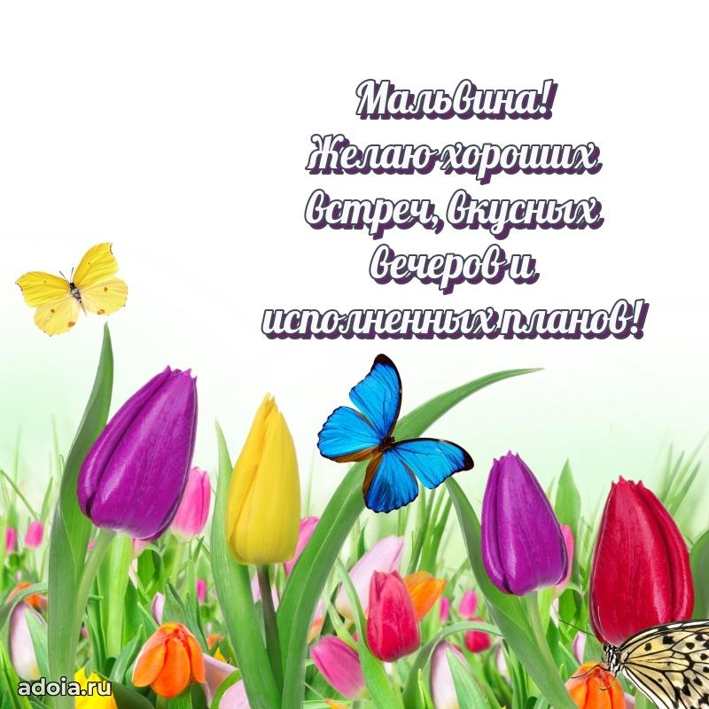 Поздравление с днем рождения женщине в стихах