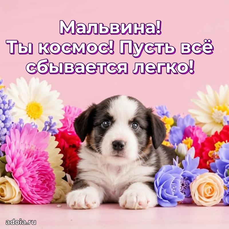 Пожелания маме Мальвине