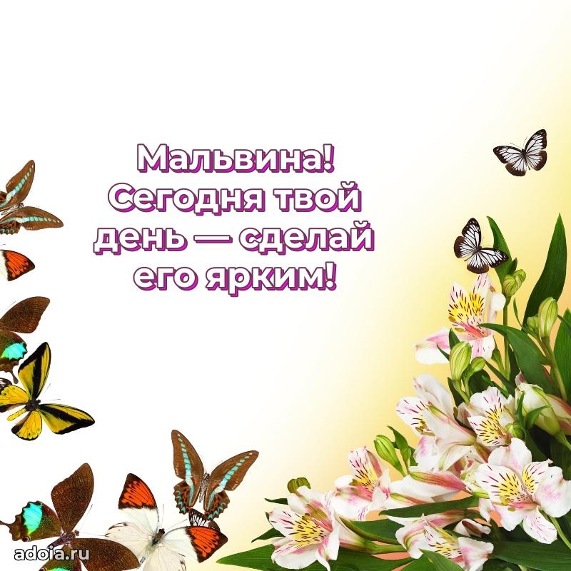 Открытка Мальвине праздничная