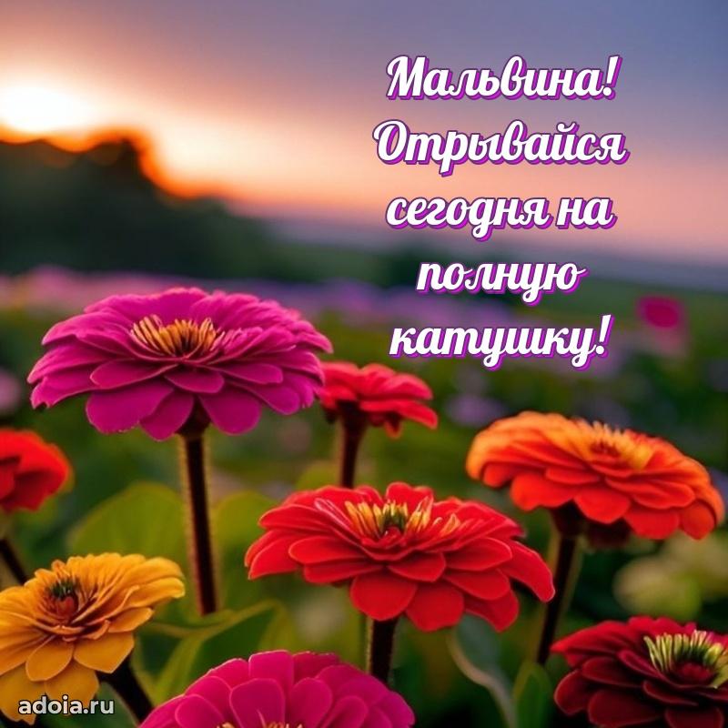 Поздравление Мальвине праздничные своими словами в прозе