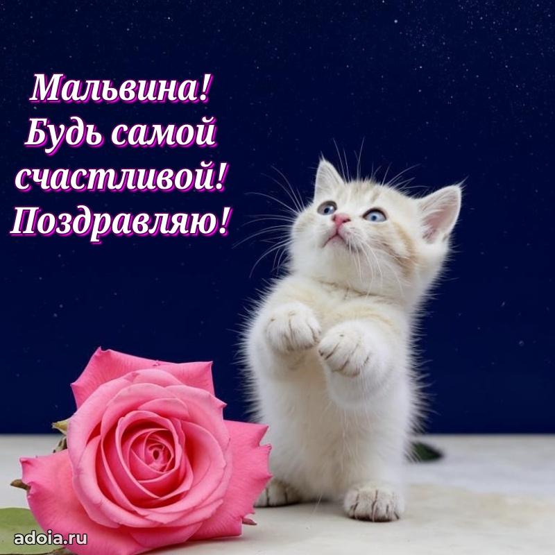 Яркая гифка Мальвине с днем рождения