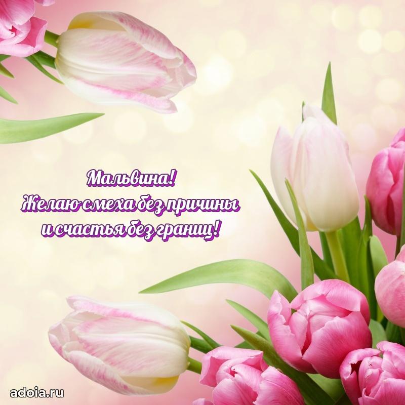 Поздравление Мальвине праздничные своими словами в прозе
